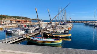 3p à Banyuls-sur-mer traversant mer-montagne - Banyuls-sur-Mer - 0