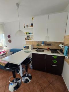 SUKOŠAN STUDIO APARTMAN - Sukošan - 4