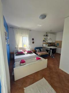 SUKOŠAN STUDIO APARTMAN - Sukošan - 6