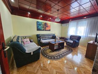Apartman Purić - Pirot - 5