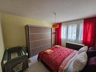 Apartman Purić - Pirot - 4