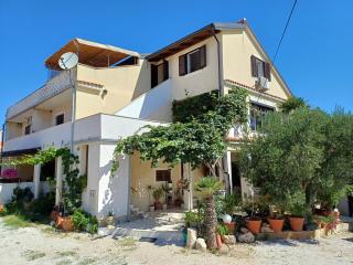 Apartmani Saška 1 - Privlaka - 0