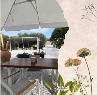Villa Versilia-Mare e Monti - Piano di Mommio - 8