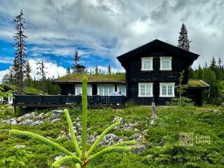 Large cozy log cabin with sauna and nice view in Sjusjøen - 9