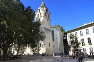 loft - Avignon - 4