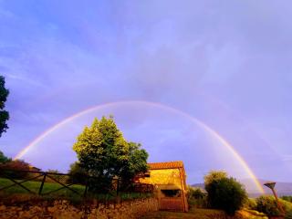 Trasimeno Nature house - Castiglione del Lago - 1