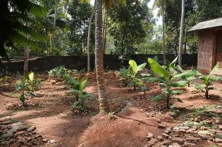 G o d's Own Country Resort Kovalam By Bestinn Leisure - Vilinjam - 4