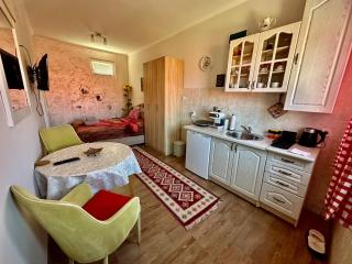 Apartment Ruzica - Žabljak - 2