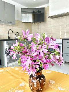 Apartament przy łysej polanie - 7