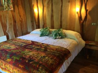 Ecoreserva Quelhue Lodge y Cabañas - 1