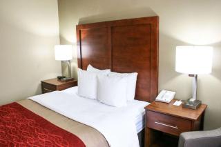 Comfort Inn Ellensburg - Ellensburg - 6