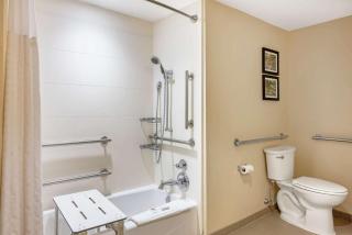 Comfort Inn & Suites At CrossPlex Village - 1