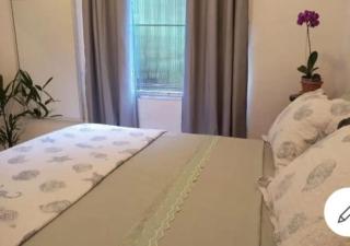 Casa das orquídeas ilha de Itacuruça - 2