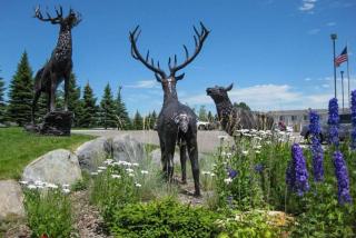 Clarion Inn Idaho Falls Riverfront - Idaho Falls - 5