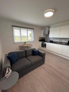 The Loft and The Den Apartments - 2