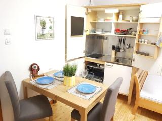Komfortable Wohnung mit Garten im Zentrum von Graz - Graz - 8