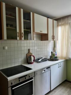 Pejton Apartment-Ilidža - Sarajevo - 1