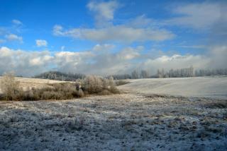 Lipowe siedlisko - 8