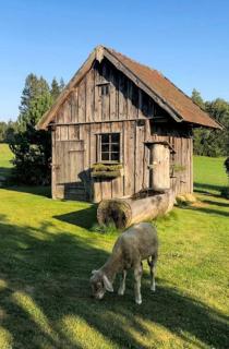 Winklergut Farm Residence Austria - SH - 5