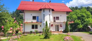 Vila Denisa - Bran - 9