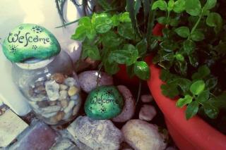 Green cottage Baredi, Izola, Slovenia - Izola - 5