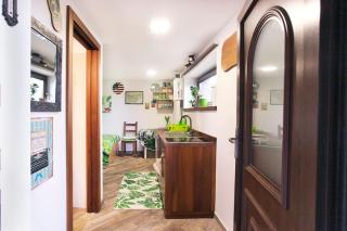 Green cottage Baredi, Izola, Slovenia - 7