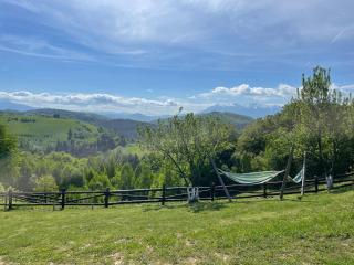Wild Cottage - 4
