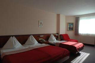 Pension Weber - 4