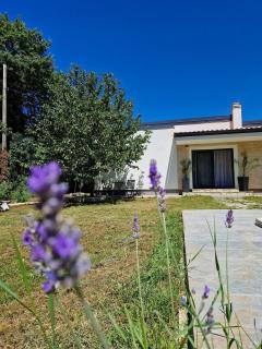 Villa DE Luna Istra - Barban - 4