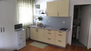 Studio EMMA Ljubljana - FREE parking, AC, Wifi - Lubiana - 4