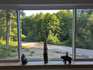 Gnome Home - Packwood - 1