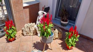 Ariadnis Apartment - 1