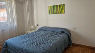 LOS OLIVOS - céntrico - 8 personas - Vigo - 1