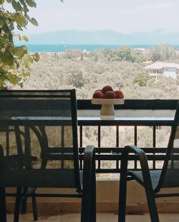 Pine House II - Lefkada - 0