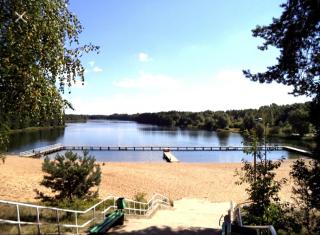 Świerkowisko cisza las plaża blisko - 9