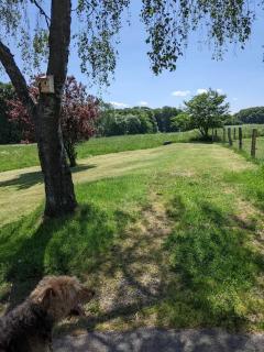 Auszeit Altenhorst, Bauernhaus - Schalksmühle - 3