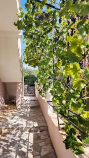 Villa Vukic - Kotor Regione - 8