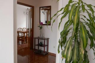 Casa Soleada Calle Tranquila Junto a FIBES - 2