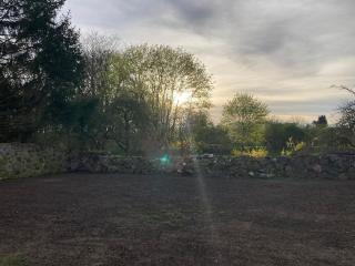 FeWo Fuchsbau - Forstgut Laase - 9