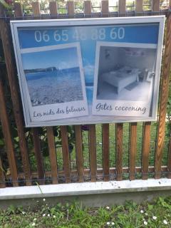 Les nids des falaises - Saint-Jouin-Bruneval - 6