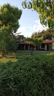 Agriturismo Il Sughereto - Appartamento Cattleya - Podere Caminino - 4