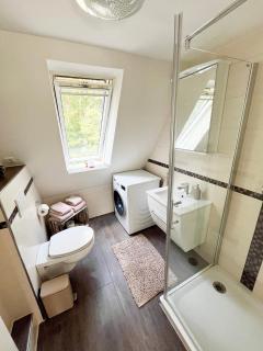 Anrena Forest -  - 6