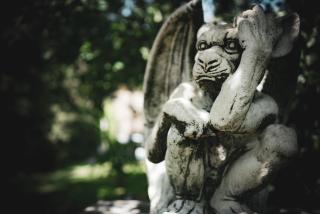 Anrena Forest -  - 5