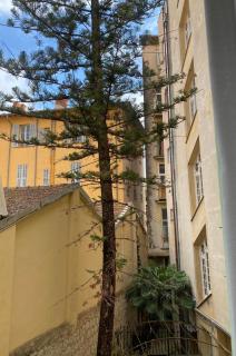 Au coin du pin - Menton - 1