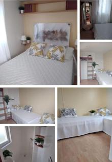 PRECIOSO FINCA CON BUNGALOW, PISCINA Y AACc - Chiclana de la Frontera - 5