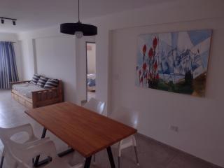 A4- Departamento céntrico, amplio y con hermosa vista al lago! - 7