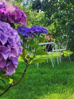 B&B Alle Ortensie Blu - Sesta Godano - 7