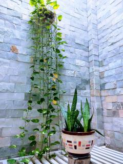 Nạp Homestay - Kinh Dinh - 4