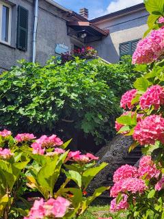 B&B Alle Ortensie Blu - Sesta Godano - 8