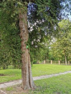 Camper and tent place in Jelgava - 0